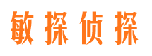 北辰市侦探公司